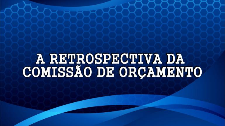 O 2023 DA COMISSÃO DE ORÇAMENTO FOI DE MUITO TRABALHO E AVANCOS HISTÓRICOS