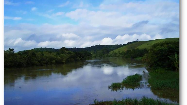 Secretários de Meio Ambiente de 17 estados se reúnem pela preservação da Mata Atlântica