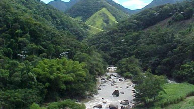 Estudo aponta municípios do Rio de Janeiro que mais regeneraram a Mata Atlântica