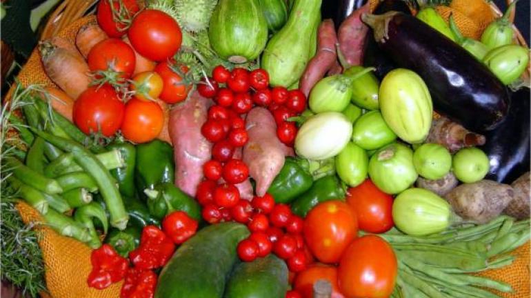 Agricultura e Sebrae Fomentam Cadeias da Agropecuária Fluminense