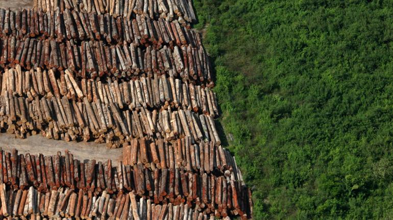 Secretaria de Estado do Ambiente lança Projeto Olho no Verde contra desmatamento e divulga ranking de municípios que mais desmataram no ano de 2016