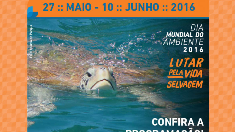 Parque Estadual da Ilha Grande promove atividades na Semana do Meio Ambiente