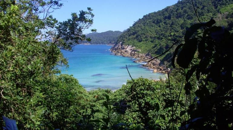 Parque Estadual da Ilha Grande promove mutirões e eventos educacionais na Semana do Meio Ambiente