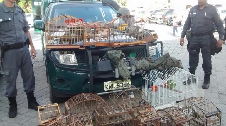 Parque Estadual dos Três Picos e Upam apreendem armas e animais silvestres