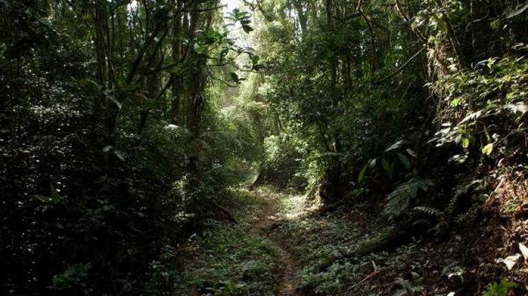 Parque Estadual do Desengano promove curso de capacitação sobre apicultura