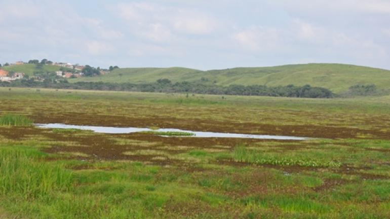 Criação do Refúgio da Vida Silvestre Lagoa Turfeira garante preservação da biodiversidade na Região do Médio Vale do Paraíba