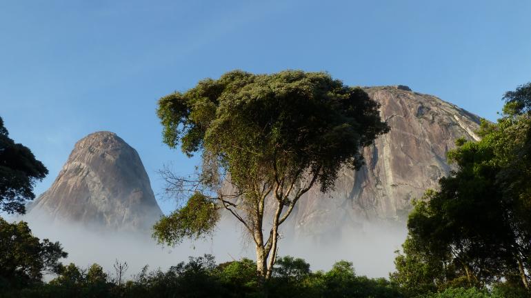 Estado do Rio a caminho do desmatamento zero