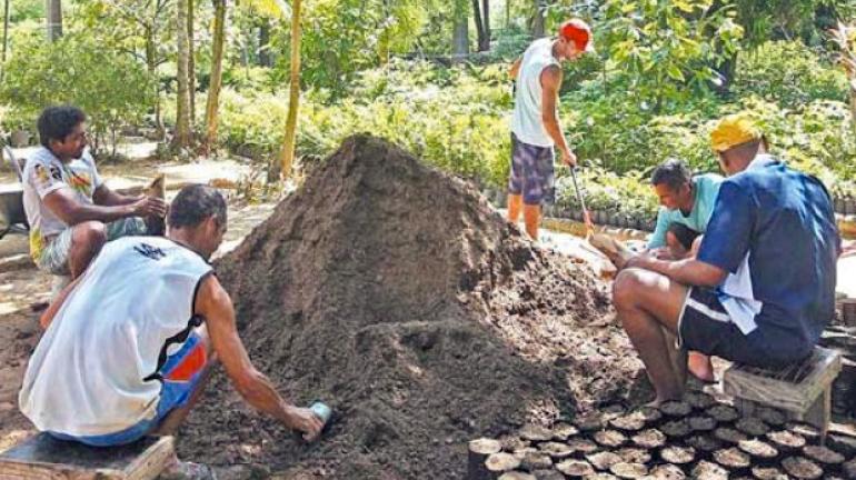 Edital de voluntariado do Horto de Guaratiba