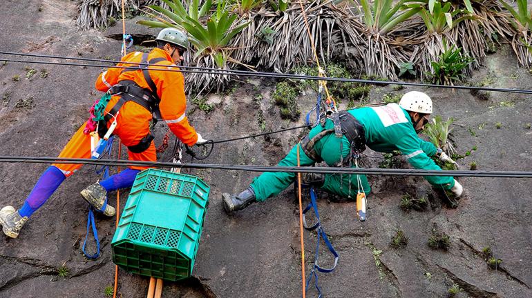 Obras da Linha 4 adotam ações de sustentabilidade