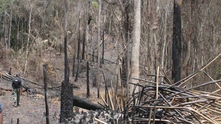 Projeto Olho no Verde realiza ação em Rio Claro