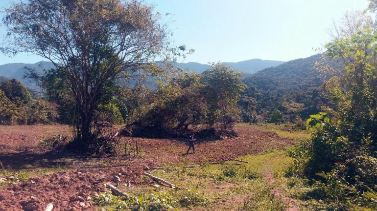 Secretaria e Inea combatem desmatamento em Paraty