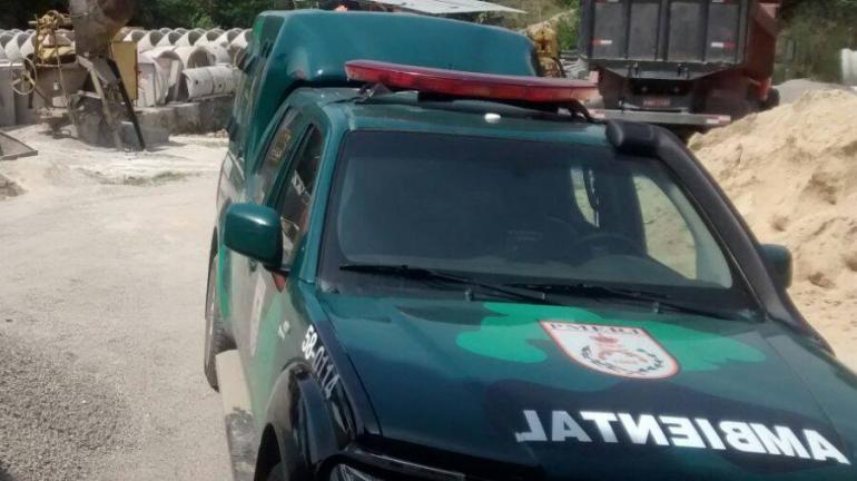 Mais de 100 aves silvestres apreendidas em Niterói