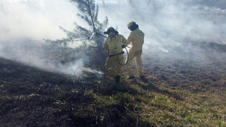 Bombeiros de todo o Estado e Guarda-Parques do Instituto Estadual do Ambiente trabalham no combate a incêndios desde o fim de semana 