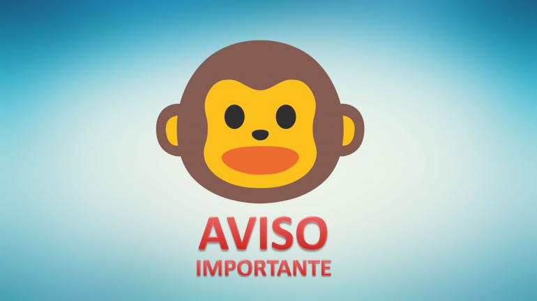 Saiba como agir caso encontre um macaco