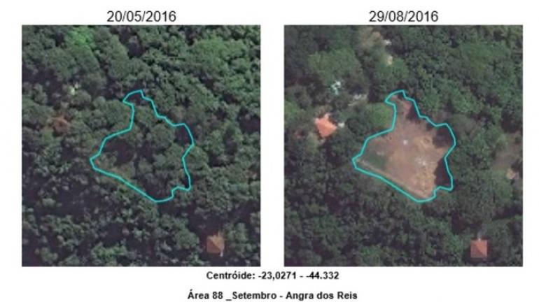 Inea notifica ilha em Angra por desmatamento ilegal