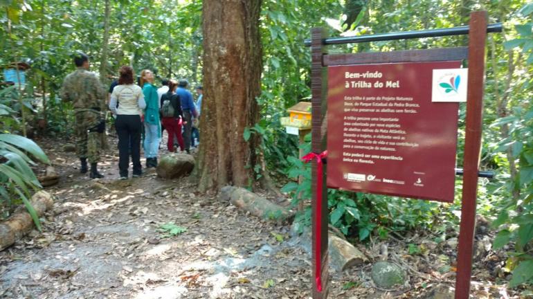 Parque da Pedra Branca inaugura bromeliário e nova trilha com abelhas nativas