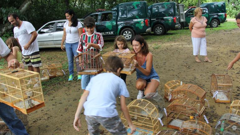 Crianças devolvem à natureza pássaros apreendidos em feiras livres do Estado do Rio