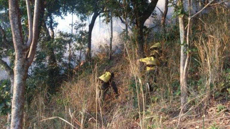 Incêndio em área de Ipiabas é controlado