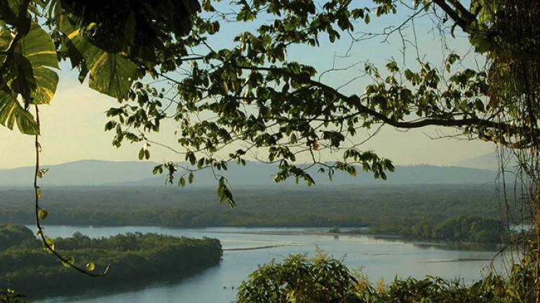 Duas construções irregulares são demolidas na Reserva Biológica de Guaratiba, Zona Oeste do Rio, em ação da Secretaria do Ambiente