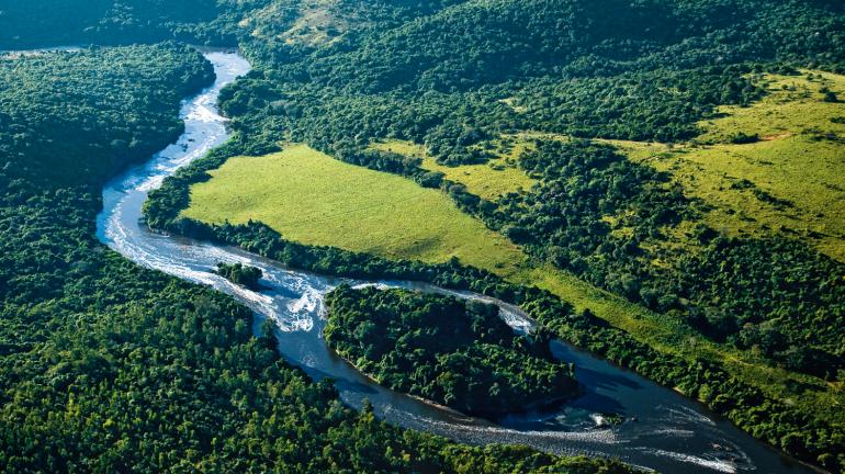 Rio é o Estado com a Mata Atlântica mais preservada