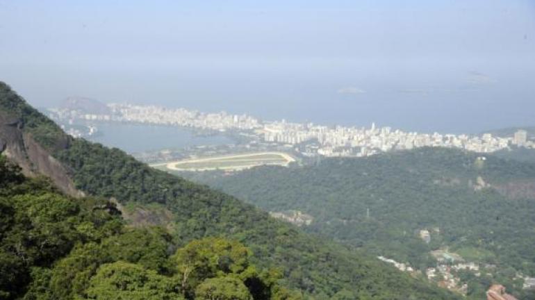 Estado do Rio de Janeiro se mantém em nível de desmatamento zero