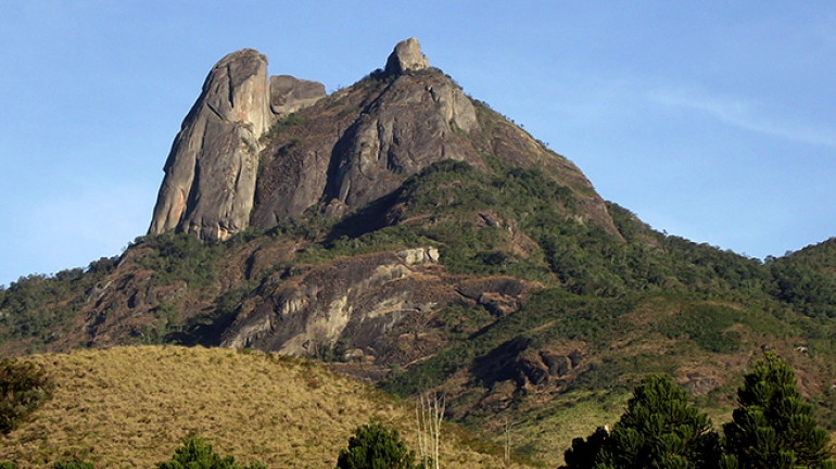 Pedra Selada Florestal