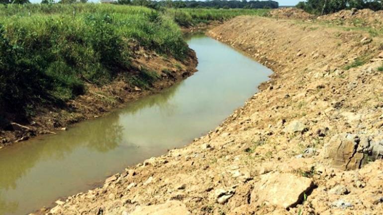 Limpeza dos canais Coqueiros e Cambaíba avança