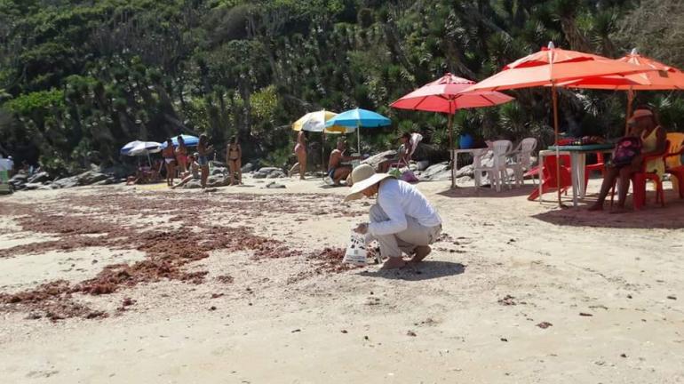 AÇÃO AMBIENTAL RECOLHE MAIS DE 16 MIL RESÍDUOS NA PRAIA DO PERÓ