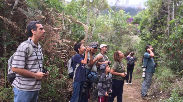 Mais de 20 espécies de pássaros são registradas por observadores na Reserva Biológica de Araras