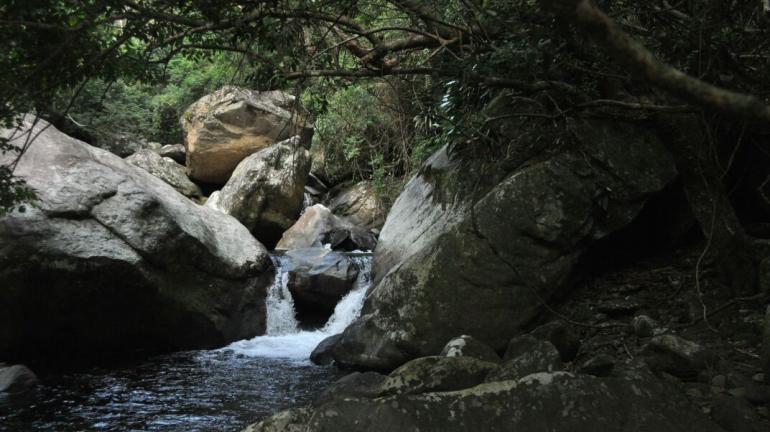 Parque Estadual  Cunhambebe promoveu atividades para a população neste sábado   