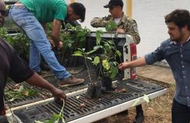 Pádua inicia plantio mudas de árvores para recuperar mata ciliar do Córrego Carangola