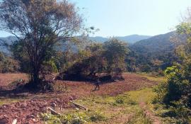 Secretaria e Inea combatem desmatamento em Paraty