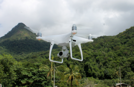 Drone reforça combate ao desmatamento na Ilha Grande