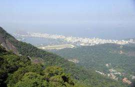 Estado do Rio de Janeiro se mantém em nível de desmatamento zero