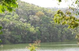 Parque Natural Municipal do Açude da Concórdia foi reaberto para a população