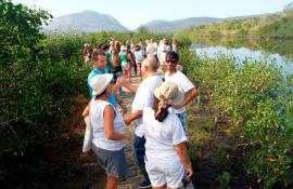 inaugurada nova trilha em área de mangue em Niterói