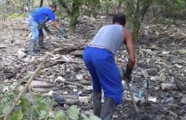 Inea inicia projeto de recuperação do manguezal de Tubiacanga, na Ilha do Governador