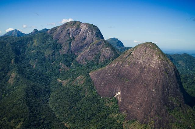 O renascimento da Mata Atlântica no Rio de Janeiro